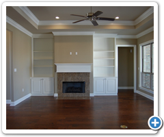 fireplace & shelves